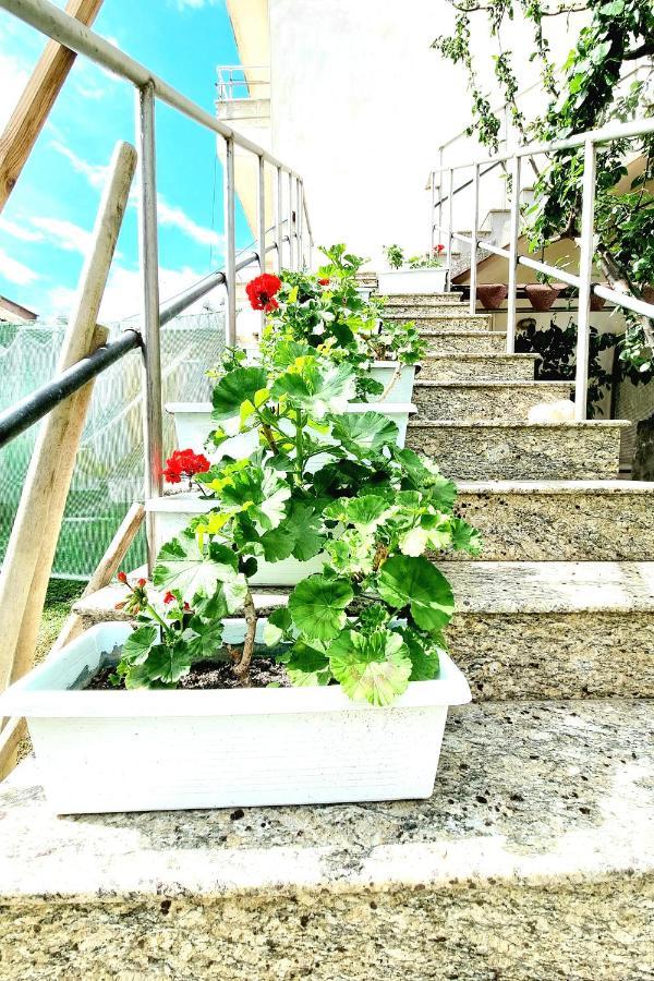 Luckyshine Hostel Vlorë Εξωτερικό φωτογραφία